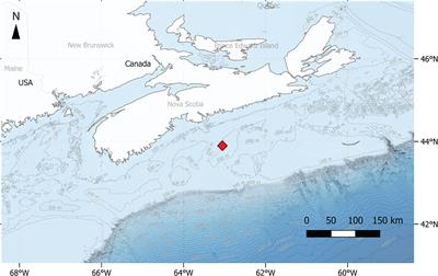 Occurrence and behavioral rhythms of the endangered Acadian redfish (Sebastes fasciatus) in the Sambro Bank (Scotian Shelf)